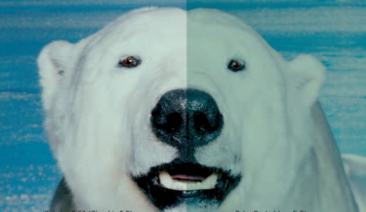 suncitygroup·太阳(集团)官网登录入口